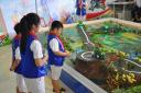 DSC_0174.JPG - 