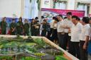 DSC_0414.JPG - 